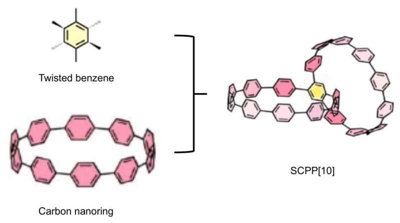 Researchers first synthesize conjoined bismacrocycle with all phenylene units