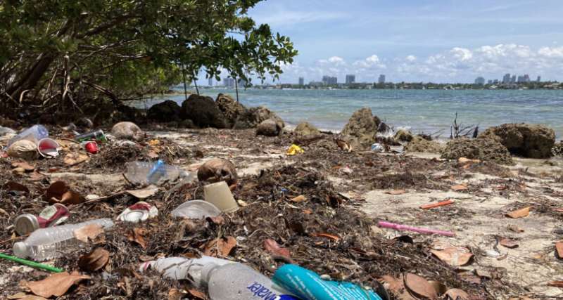 Researchers help Miami fight plastic pollution