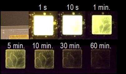 Researchers light the way for organic glow-in-the-dark materials