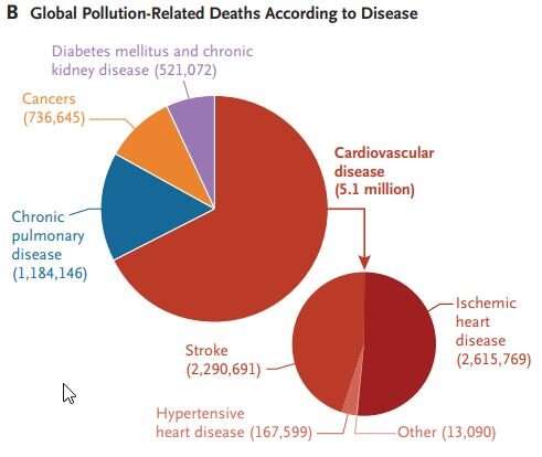 Researchers link pollution to cardiovascular disease, develop strategies to reduce exposure and encourage government interventio