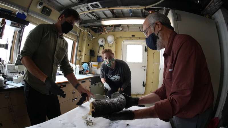 Researchers recover ancient mammoth tusk during deep-sea expedition