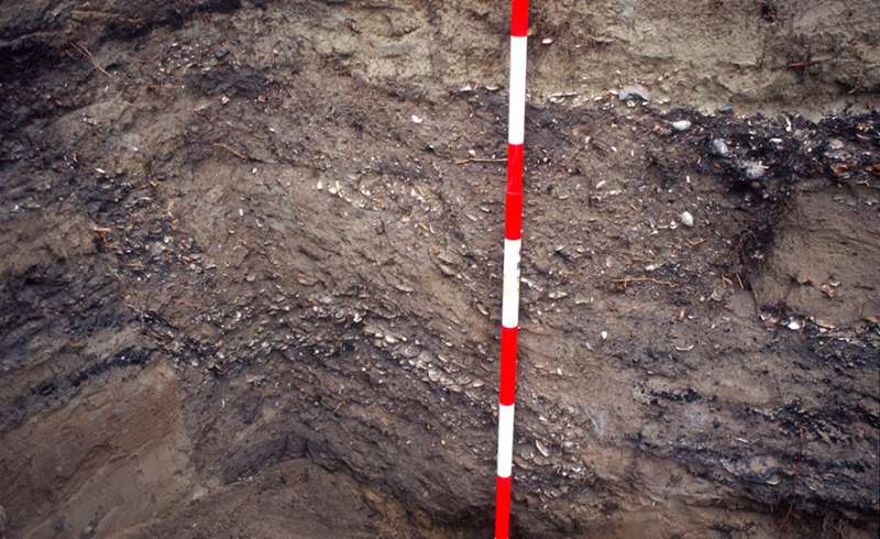 Researchers report discovery of ancient kumara pits