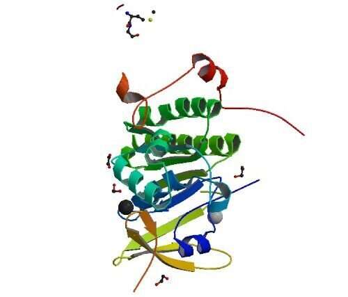 Researchers solve structure of BRCA2 protein complex important in DNA repair