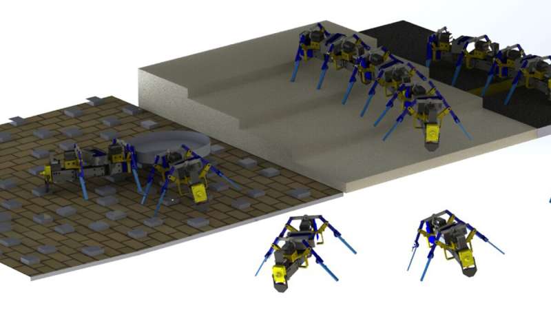 Researchers successfully build four-legged swarm robots