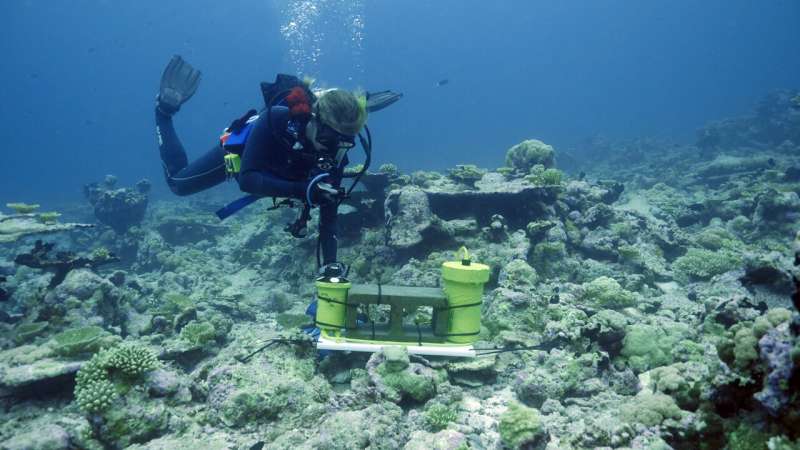 Researchers test physics of coral as an indicator of reef health