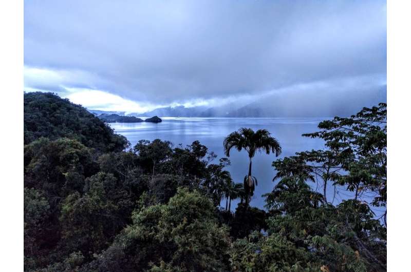 Researchers uncover signs of ecosystem collapse in significant PNG wetland