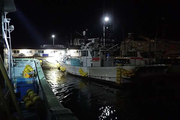 Resilience of fisheries following tohoku tsunami