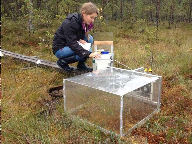 Restored peatlands store carbon and mitigate climate change