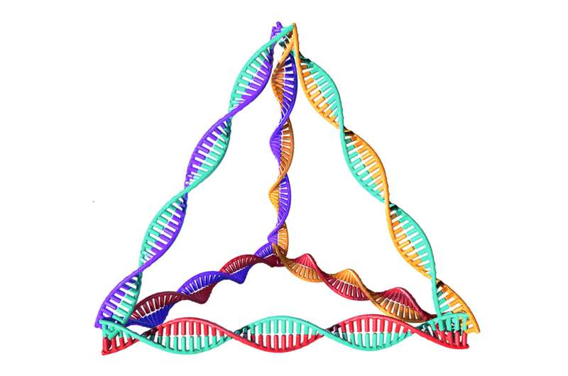 Reversing new-onset type 1 diabetes with pyramid-like DNA