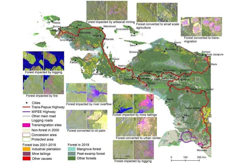 Road to uncertainty: research reveals how Trans Papua may strip 4.5 million hectares of forest by 2036