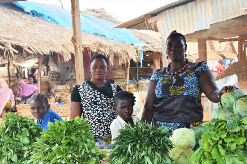 Role of women highlighted in study focused on the benefits of good farmer seed production