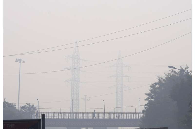 Schools, plants close as Indian capital is smothered by smog