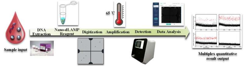 Scientists develop chip-based digital PCR detection technology and instrument