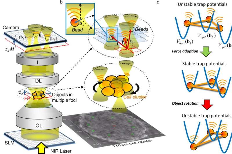 Scientists develop concept for feedback-controlled optical tweezers