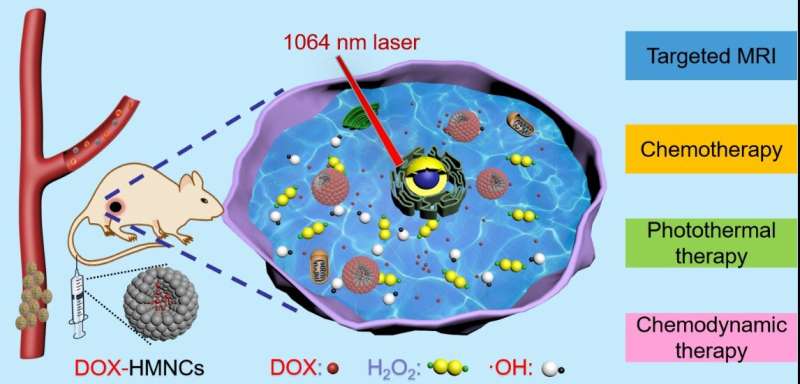 Scientists discover nanoclusters effective for cancer in the second near-infrared synergy therapy