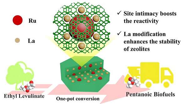 Scientists discover zeolite-tailored active site proximity for efficient production of pentanoic biofuels