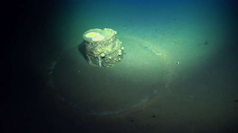 Scientists explore mineral-rich seafloor and DDT dump sites; discover new methane seep, whale fall