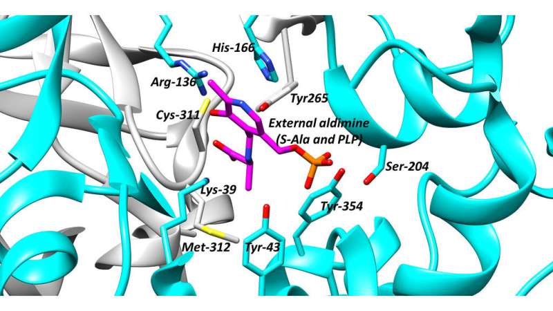 Scientists explore racemases and propose strategies for finding drugs that target these important enzymes.