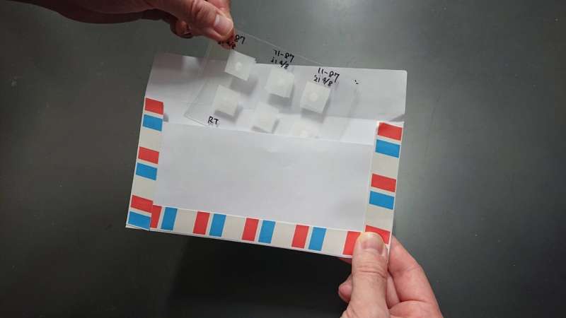 Scientists mail freeze-dried mouse sperm on a postcard