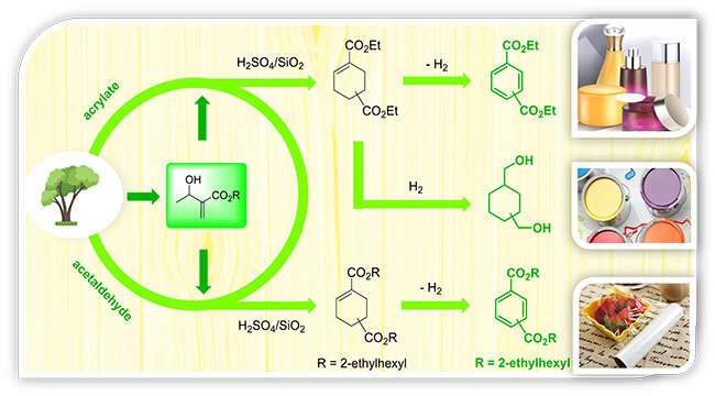 Scientists propose new method for sustainable production of copolyester monomers with biomass