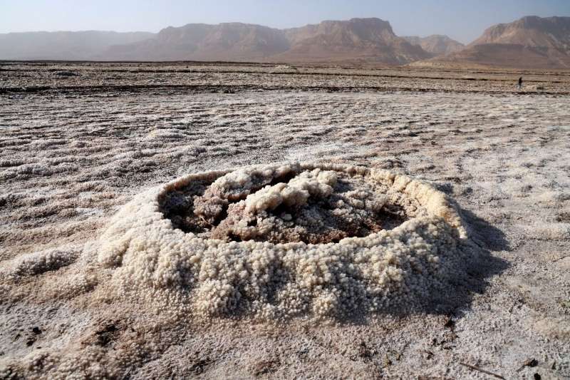 Scientists say the Dead Sea's decline is inevitable, and that sinkholes will keep spreading over the next 100 years
