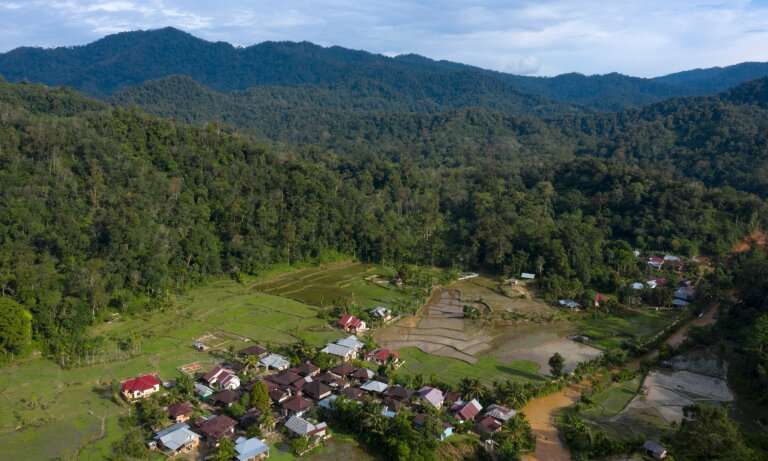 Seamless in Sumatra – Joined-up thinking benefits tigers, climate and communities