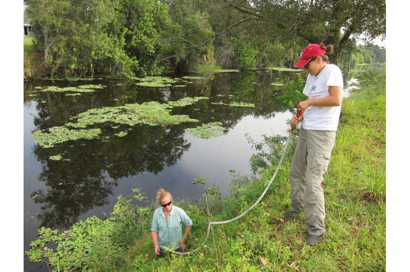 Septic system waste pervasive throughout Florida's Indian River lagoon