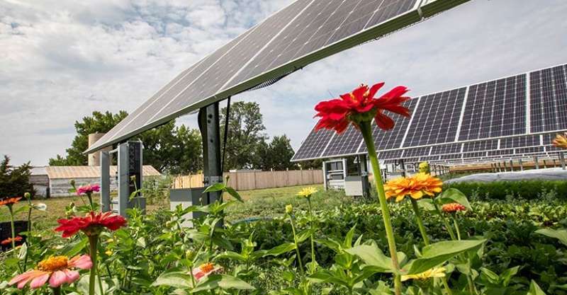 "Sharing the Sun" market report details expansive growth, recent trends in community solar