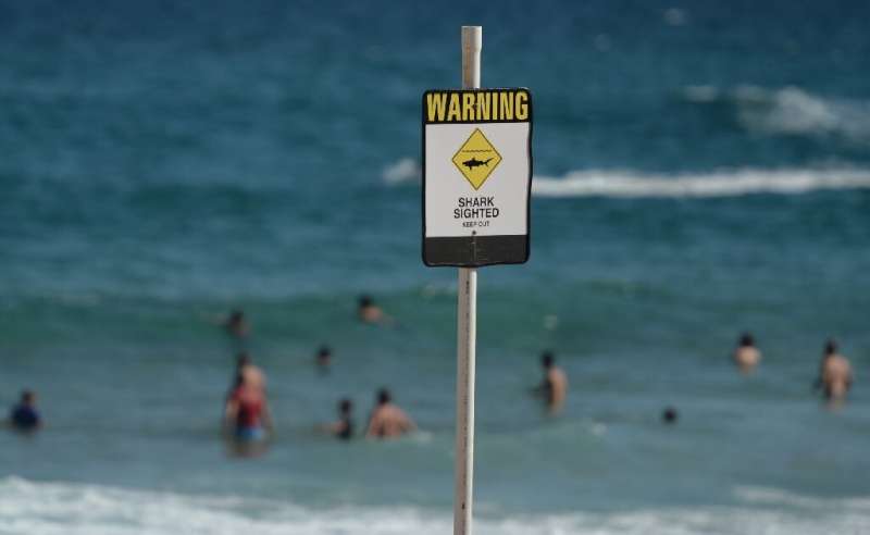 Shark attacks are rare but on the increase Down Under, thanks in large part to more people being in the water