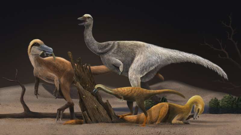 Sharp size reduction in dinosaurs that changed diet to termites