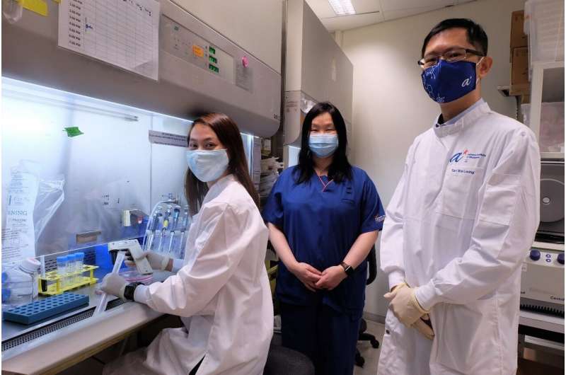 Singapore team discovers novel strategy to tame aggressive breast cancer and starts clinical trial