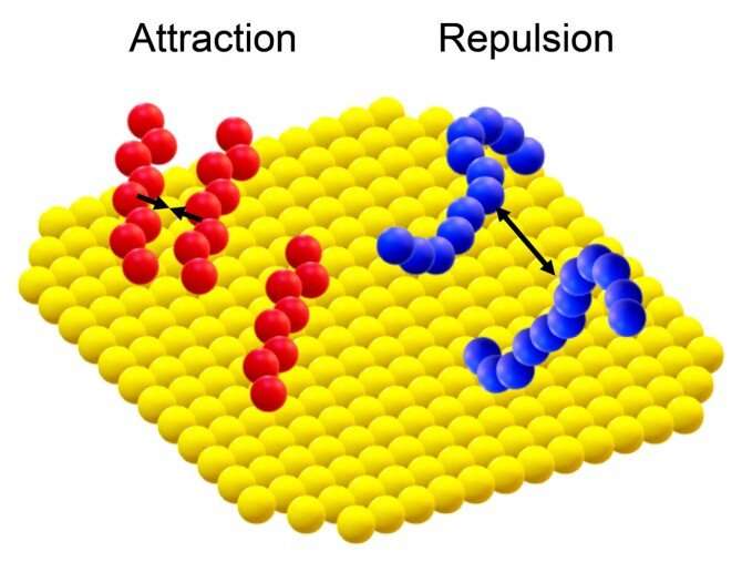 Small molecule plays outsize role in controlling nanoparticle