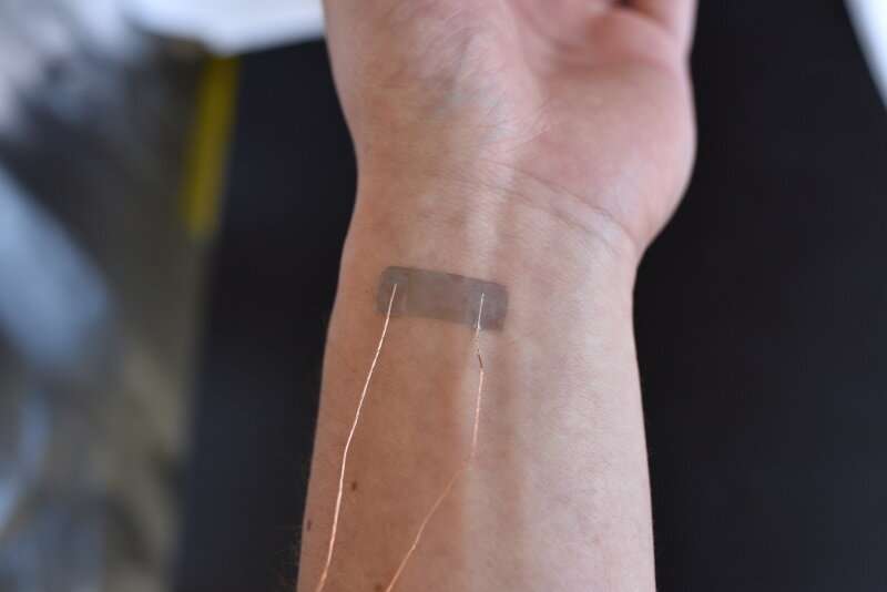 Snake skin inspires development of wearable sensors with wide-ranging strain sensitivity