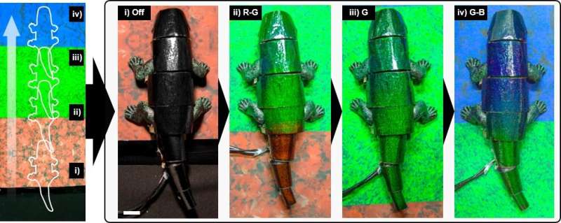 Soft robot chameleon changes color in real-time to match background