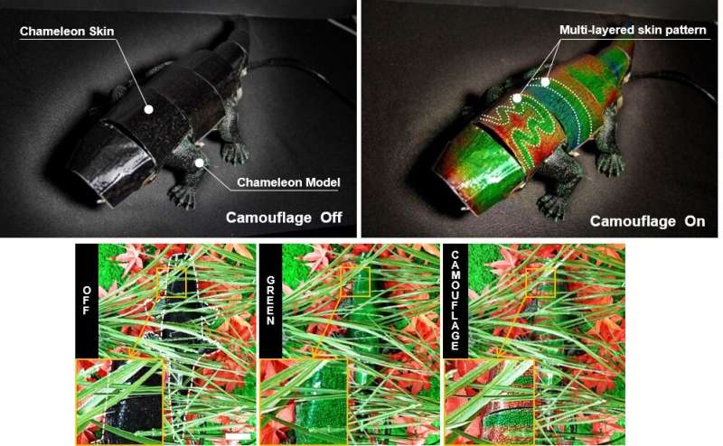 Soft robot chameleon changes color in real-time to match background