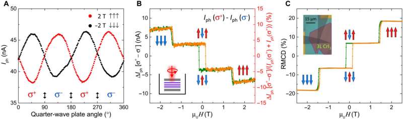 Spin photovoltaic effects in magnetic van der Waals heterostructures