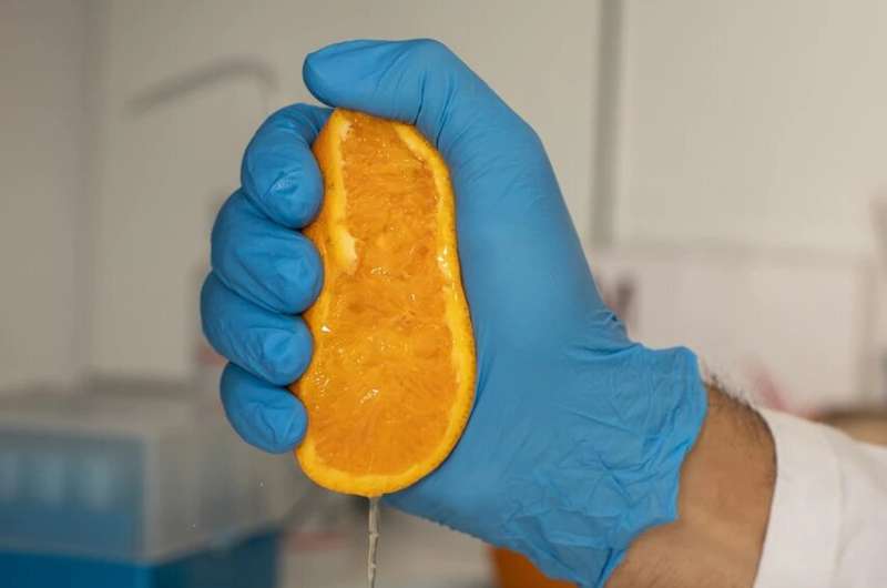 La naranja podrida resalta las células malignas