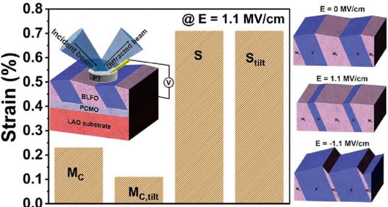 Squeeze the shock out: What different phases of piezoelectric materials tell us