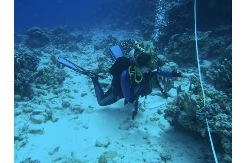 ‘Sticky questions’ raised by study on coral reefs