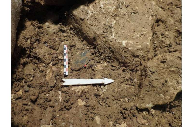 Stone tool tells the story of Neanderthal hunting