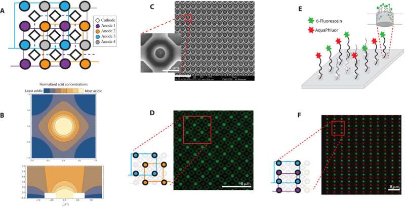 Storing information in DNA - Improving DNA storage with nanoscale electrode wells