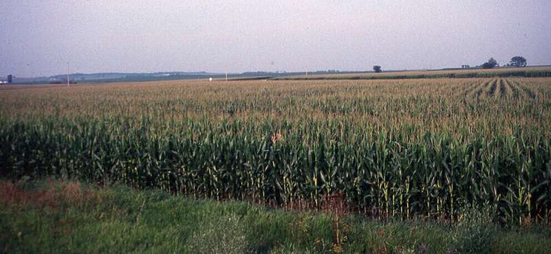 Study explores how climate change may affect rain in U.S. Corn Belt