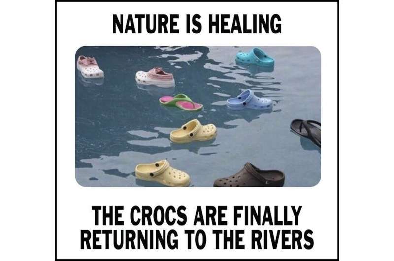Study explores the 'nature is healing' memes that dominated social media during pandemic