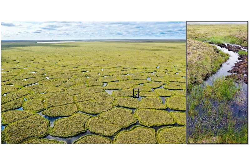 Study: Fire hastens permafrost collapse in Arctic Alaska
