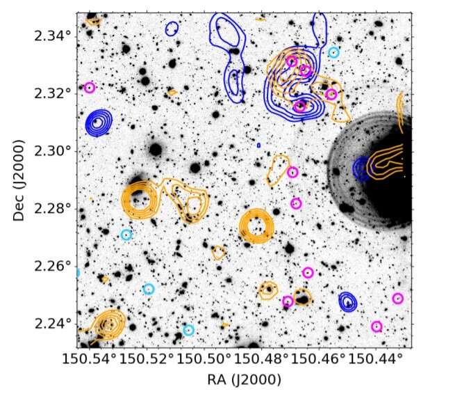 Study inspects galaxy protocluster PHz G237.01+42.50