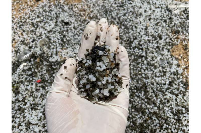 Study outlines challenges to ongoing clean-up of burnt and unburnt nurdles along Sri Lanka's coastline