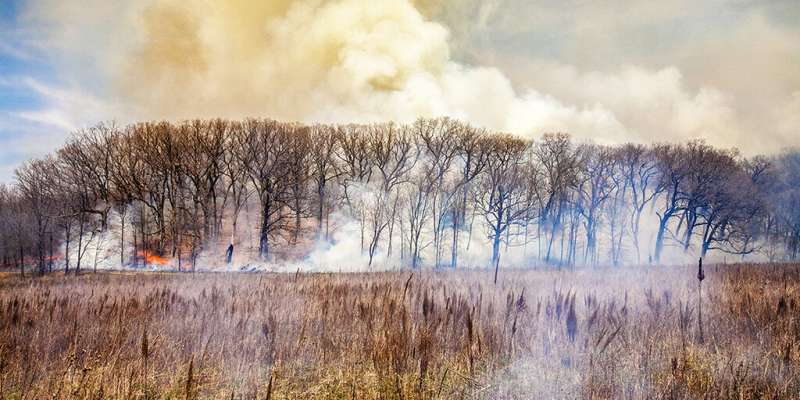 Study reconstructs 232-year history of prairie fire in Midwestern US