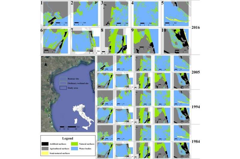 Study reveals polarization dynamics of coastal wetlands in Northeast Italy from 1984 to 2016