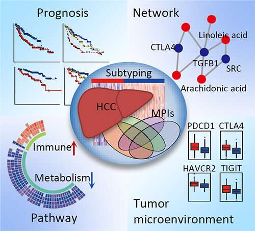 Study sheds light on precise personalized hepatocellular carcinoma medicine