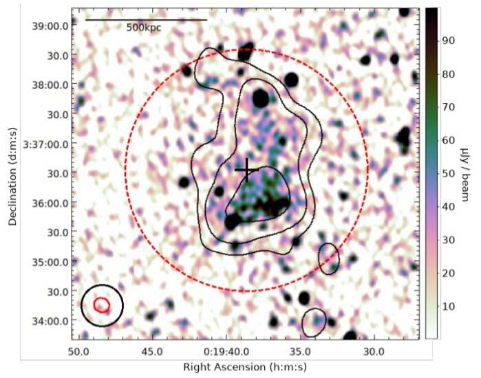 Study sheds more light on the nature of galaxy cluster ACT-CL J0019.6+0336